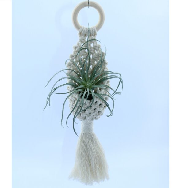 Handcrafted Macramé Wall Decor - Pocket Style - Image 2