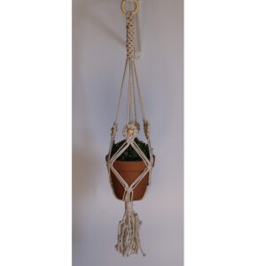 Plant Hanger with Flowers and Chinese Crown Knot