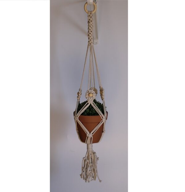 Plant Hanger with Flowers and Chinese Crown Knot